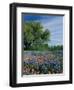 Paintbrush and Bluebonnets, Hill Country, Texas, USA-Adam Jones-Framed Photographic Print