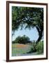 Paintbrush and Bluebonnets, Texas Hill Country, Texas, USA-Adam Jones-Framed Photographic Print