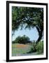 Paintbrush and Bluebonnets, Texas Hill Country, Texas, USA-Adam Jones-Framed Photographic Print