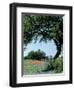 Paintbrush and Bluebonnets, Texas Hill Country, Texas, USA-Adam Jones-Framed Photographic Print