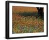 Paintbrush and Tree Trunk, Hill Country, Texas, USA-Darrell Gulin-Framed Premium Photographic Print