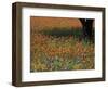 Paintbrush and Tree Trunk, Hill Country, Texas, USA-Darrell Gulin-Framed Photographic Print