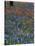 Paintbrush and Tree Trunk, Lake Buchanan, Texas, USA-Darrell Gulin-Stretched Canvas