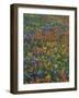 Paintbrush, Bluebonnets, and Bladderpod, Texas, USA-Adam Jones-Framed Photographic Print