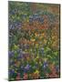 Paintbrush, Bluebonnets, and Bladderpod, Texas, USA-Adam Jones-Mounted Photographic Print