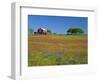 Paintbrush Flowers and Red Barn in Field, Texas Hill Country, Texas, USA-Adam Jones-Framed Photographic Print