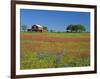 Paintbrush Flowers and Red Barn in Field, Texas Hill Country, Texas, USA-Adam Jones-Framed Photographic Print