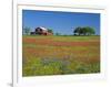 Paintbrush Flowers and Red Barn in Field, Texas Hill Country, Texas, USA-Adam Jones-Framed Photographic Print