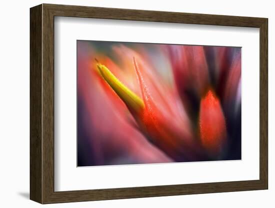 Paintbrush-Ursula Abresch-Framed Photographic Print