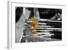 Paintbrushes-null-Framed Photo