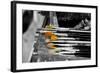 Paintbrushes-null-Framed Photo