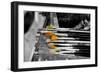 Paintbrushes-null-Framed Photo