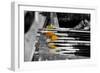 Paintbrushes-null-Framed Photo