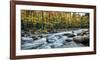 Painted Autumn-D^ Burt-Framed Art Print