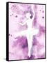 Painted Ballerina-OnRei-Framed Stretched Canvas