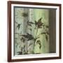 Painted Botanical I-John Butler-Framed Art Print