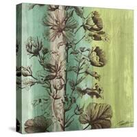 Painted Botanical II-John Butler-Stretched Canvas