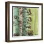 Painted Botanical II-John Butler-Framed Art Print