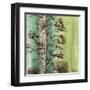 Painted Botanical II-John Butler-Framed Art Print