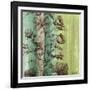 Painted Botanical II-John Butler-Framed Art Print