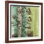 Painted Botanical II-John Butler-Framed Art Print