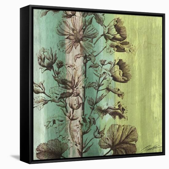 Painted Botanical II-John Butler-Framed Stretched Canvas