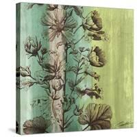 Painted Botanical II-John Butler-Stretched Canvas