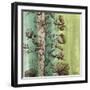 Painted Botanical II-John Butler-Framed Art Print