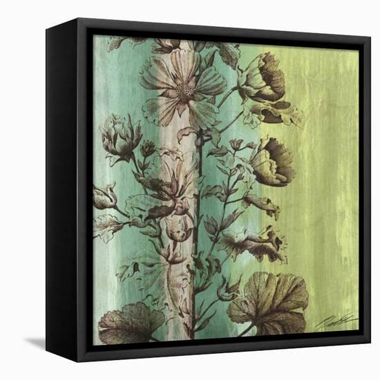 Painted Botanical II-John Butler-Framed Stretched Canvas