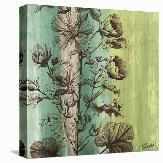 Painted Botanical II-John Butler-Stretched Canvas