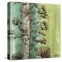 Painted Botanical II-John Butler-Stretched Canvas