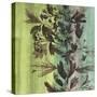 Painted Botanical III-John Butler-Stretched Canvas