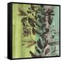 Painted Botanical III-John Butler-Framed Stretched Canvas