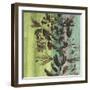 Painted Botanical III-John Butler-Framed Art Print