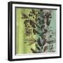 Painted Botanical III-John Butler-Framed Art Print