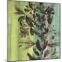 Painted Botanical III-John Butler-Mounted Art Print