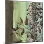 Painted Botanical IV-John Butler-Mounted Art Print
