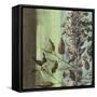Painted Botanical IV-John Butler-Framed Stretched Canvas