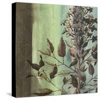 Painted Botanical IV-John Butler-Stretched Canvas