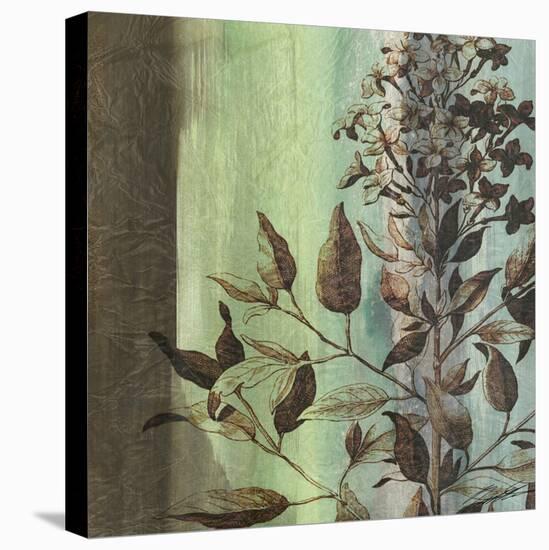 Painted Botanical IV-John Butler-Stretched Canvas