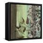 Painted Botanical IV-John Butler-Framed Stretched Canvas