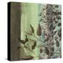 Painted Botanical IV-John Butler-Stretched Canvas