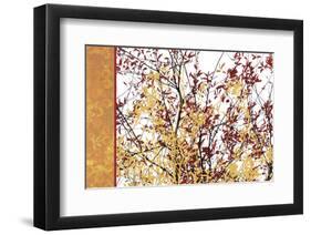 Painted Branches-Erin Clark-Framed Art Print