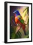 Painted Bunting Bird I-Vivienne Dupont-Framed Art Print