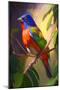 Painted Bunting Bird I-Vivienne Dupont-Mounted Art Print