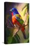 Painted Bunting Bird I-Vivienne Dupont-Stretched Canvas