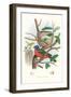 Painted Bunting Nest and Eggs-null-Framed Art Print