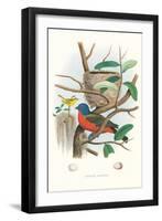 Painted Bunting Nest and Eggs-null-Framed Art Print