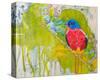 Painted Bunting-null-Stretched Canvas