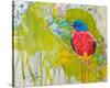 Painted Bunting-null-Stretched Canvas